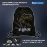 Мешок для обуви BRAUBERG PREMIUM, карман, подкладка, светоотражайка, 43х33 см, Dino attack, 272424 Мешок для обуви BRAUBERG PREMIUM, карман, подкладка, светоотражайка, 43х33 см, Dino attack, 272424