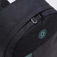 Рюкзак GRIZZLY школьный, укрепленная спинка, 1 отделение, д/дев.,BLACK/MINT,37,5х24х12см,RXL-327-3/2 Рюкзак GRIZZLY школьный, укрепленная спинка, 1 отделение, д/дев.,BLACK/MINT,37,5х24х12см,RXL-327-3/2
