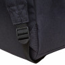 Рюкзак GRIZZLY школьный, укрепленная спинка, 2 отделения,д/дев.,CLASSIC BLACK,39х33х14см,RXL-325-1/3