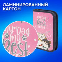Пенал ПИФАГОР, 1 отделение, ламинированный картон, 19х11 см, "Best team", 272240