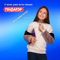 Пенал ПИФАГОР, 1 отделение, ламинированный картон, 19х11 см, "Best team", 272240