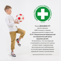 Ранец BRAUBERG FIT, 2 отделения, "Colorful lion", 38х27х14 см, 270618 Ранец BRAUBERG FIT, 2 отделения, "Colorful lion", 38х27х14 см, 270618