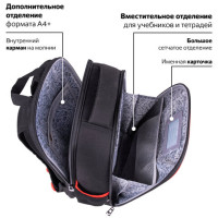 Ранец BRAUBERG FIT, 2 отделения, "Colorful lion", 38х27х14 см, 270618 Ранец BRAUBERG FIT, 2 отделения, "Colorful lion", 38х27х14 см, 270618