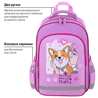 Рюкзак ПИФАГОР SCHOOL, 1 отделение, 3 кармана, "Fluffy akita", 38x28х14 см, 272084