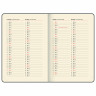 Ежедневник датированный 2025, А5, 151х213 мм, BRAUBERG "Note", под кожу, держатель для ручки, резинка-фиксатор, черный, 115930