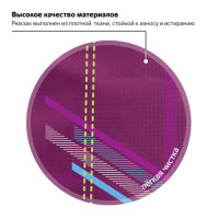 Рюкзак BRAUBERG HIGH SCHOOL универсальный, 3 отделения, "Крокус", фуксия, 46х31х18 см, 225521 Рюкзак BRAUBERG HIGH SCHOOL универсальный, 3 отделения, "Крокус", фуксия, 46х31х18 см, 225521