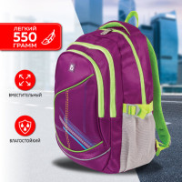 Рюкзак BRAUBERG HIGH SCHOOL универсальный, 3 отделения, "Крокус", фуксия, 46х31х18 см, 225521 Рюкзак BRAUBERG HIGH SCHOOL универсальный, 3 отделения, "Крокус", фуксия, 46х31х18 см, 225521