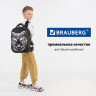 Ранец BRAUBERG SHINY, 2 отделения, с брелком, "Tiger", СВЕТЯЩИЙСЯ РИСУНОК, 38х28х14 см, 270698 Ранец BRAUBERG SHINY, 2 отделения, с брелком, "Tiger", СВЕТЯЩИЙСЯ РИСУНОК, 38х28х14 см, 270698