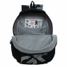 Рюкзак GRIZZLY школьный, анатом. спинка, 2 отделения, д/мальч., BLACK/GRAY, 42х32х22 см, RU-433-1/2 Рюкзак GRIZZLY школьный, анатом. спинка, 2 отделения, д/мальч., BLACK/GRAY, 42х32х22 см, RU-433-1/2