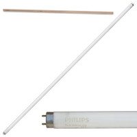 Лампа люминесцентная PHILIPS TL-D 58W/54-765, 58 Вт, цоколь G13, в виде трубки 150 см, холодный дневной свет, 815900 Лампа люминесцентная PHILIPS TL-D 58W/54-765, 58 Вт, цоколь G13, в виде трубки 150 см, холодный дневной свет, 815900
