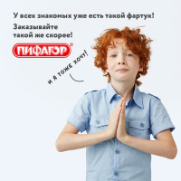 Накидка фартук с нарукавниками для труда ПИФАГОР, 3 кармана, стандартный размер, 44x55 см, красный, 228360 Накидка фартук с нарукавниками для труда ПИФАГОР, 3 кармана, стандартный размер, 44x55 см, красный, 228360