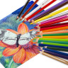 Карандаши цветные акварельные BRAUBERG PREMIUM AQUARELLE, 24 цвета, грифель мягкий 4 мм, 181673