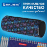 Пенал-косметичка BRAUBERG, Butterflies, черный, 20х7х7см, 272296 Пенал-косметичка BRAUBERG, Butterflies, черный, 20х7х7см, 272296