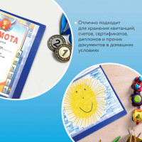 Папка 100 вкладышей BRAUBERG стандарт, синяя, 0,9 мм, 221609 Папка 100 вкладышей BRAUBERG стандарт, синяя, 0,9 мм, 221609