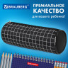 Пенал-косметичка BRAUBERG, Checkered, черный, 20х7х7см, 272298 Пенал-косметичка BRAUBERG, Checkered, черный, 20х7х7см, 272298