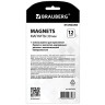 Магниты BRAUBERG "STANDARD" 30 мм, НАБОР 12 шт., ассорти, 237472 Магниты BRAUBERG "STANDARD" 30 мм, НАБОР 12 шт., ассорти, 237472