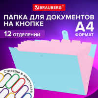 Папка-органайзер на кнопке 12 отделений, BRAUBERG "Extra", А4, голубая с розовым, 271932 Папка-органайзер на кнопке 12 отделений, BRAUBERG "Extra", А4, голубая с розовым, 271932