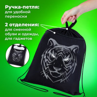 Мешок для обуви BRAUBERG, с петлёй, карман на молнии, 47х37 см, "Tiger", 271610 Мешок для обуви BRAUBERG, с петлёй, карман на молнии, 47х37 см, "Tiger", 271610