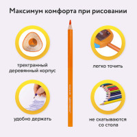 Карандаши цветные BRAUBERG PREMIUM, 36 цветов, трехгранные, грифель 3,3 мм, 181654 Карандаши цветные BRAUBERG PREMIUM, 36 цветов, трехгранные, грифель 3,3 мм, 181654