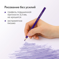 Карандаши цветные BRAUBERG PREMIUM, 36 цветов, трехгранные, грифель 3,3 мм, 181654 Карандаши цветные BRAUBERG PREMIUM, 36 цветов, трехгранные, грифель 3,3 мм, 181654
