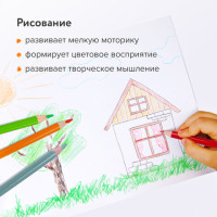 Карандаши цветные BRAUBERG PREMIUM, 36 цветов, трехгранные, грифель 3,3 мм, 181654 Карандаши цветные BRAUBERG PREMIUM, 36 цветов, трехгранные, грифель 3,3 мм, 181654