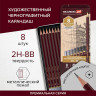 Карандаши чернографитные художественные 2H-8B, НАБОР 8 шт., В ПЕНАЛЕ, BRAUBERG ART "PREMIERE", 181894