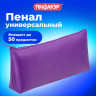 Пенал-косметичка ПИФАГОР на молнии, текстиль, фиолетовый, 19х4х9 см, 229003 Пенал-косметичка ПИФАГОР на молнии, текстиль, фиолетовый, 19х4х9 см, 229003