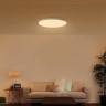 Умный потолочный светильник XIAOMI Mi Smart LED Ceiling Light, LED, 45 Вт, белый, BHR4118GL Умный потолочный светильник XIAOMI Mi Smart LED Ceiling Light, LED, 45 Вт, белый, BHR4118GL