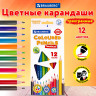 Карандаши цветные BRAUBERG PREMIUM, 12 цветов, пластиковые, трехгранные, грифель 3 мм, 181661 Карандаши цветные BRAUBERG PREMIUM, 12 цветов, пластиковые, трехгранные, грифель 3 мм, 181661