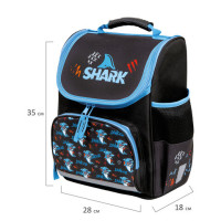 Ранец ПИФАГОР BASIC, 1 отделение, 3 кармана, эргономичная спинка, "Angry shark", 35х28х18 см, 272044 Ранец ПИФАГОР BASIC, 1 отделение, 3 кармана, эргономичная спинка, "Angry shark", 35х28х18 см, 272044