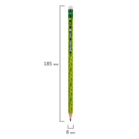 Карандаш чернографитный BRAUBERG "GREEN", 1 шт., HB, с ластиком, пластиковый, ассорти, 181746 Карандаш чернографитный BRAUBERG "GREEN", 1 шт., HB, с ластиком, пластиковый, ассорти, 181746