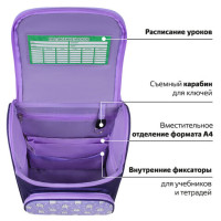 Ранец ПИФАГОР BASIC, 1 отделение, 3 кармана, эргономичная спинка, "Happy bear", 35х28х18 см, 272047