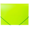 Папка на резинках BRAUBERG "Neon", неоновая, зеленая, до 300 листов, 0,5 мм, 227460 Папка на резинках BRAUBERG "Neon", неоновая, зеленая, до 300 листов, 0,5 мм, 227460