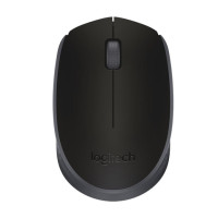 Мышь беспроводная LOGITECH M171, 2 кнопки + 1 колесо-кнопка, оптическая, черная, 910-004424 Мышь беспроводная LOGITECH M171, 2 кнопки + 1 колесо-кнопка, оптическая, черная, 910-004424