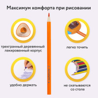 Карандаши цветные СУПЕРМЯГКИЕ ЮНЛАНДИЯ "ТРОПИКИ", 12 цветов, трехгранные, с РАСКРАСКОЙ, 181647 Карандаши цветные СУПЕРМЯГКИЕ ЮНЛАНДИЯ "ТРОПИКИ", 12 цветов, трехгранные, с РАСКРАСКОЙ, 181647