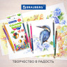 Карандаши цветные мягкие двусторонние BRAUBERG PREMIUM TWIN COLOUR, 24 штуки, 48 цветов, 181875