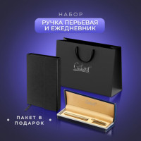 Ручка перьевая GALANT Versus, корпус золотистый, ежедневник недатированный А5 черный, пакет, 880906 Ручка перьевая GALANT Versus, корпус золотистый, ежедневник недатированный А5 черный, пакет, 880906