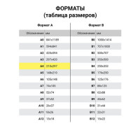 Папка на молнии с ручками STAFF EVERYDAY, А4, полиэстер, черная, 270733