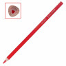 Карандаши цветные пластиковые, BRAUBERG PREMIUM 12 цветов + 1 чернографитный карандаш, трехгранный корпус, грифель 3 мм, 181936 Карандаши цветные пластиковые, BRAUBERG PREMIUM 12 цветов + 1 чернографитный карандаш, трехгранный корпус, грифель 3 мм, 181936