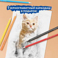 Карандаши цветные пластиковые, BRAUBERG PREMIUM 12 цветов + 1 чернографитный карандаш, трехгранный корпус, грифель 3 мм, 181936 Карандаши цветные пластиковые, BRAUBERG PREMIUM 12 цветов + 1 чернографитный карандаш, трехгранный корпус, грифель 3 мм, 181936