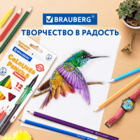 Карандаши цветные пластиковые, BRAUBERG PREMIUM 12 цветов + 1 чернографитный карандаш, трехгранный корпус, грифель 3 мм, 181936 Карандаши цветные пластиковые, BRAUBERG PREMIUM 12 цветов + 1 чернографитный карандаш, трехгранный корпус, грифель 3 мм, 181936