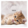 Календарь настенный перекидной на 2024 г., BRAUBERG, 12 листов, 29х29 см, "Милые котики", 115321