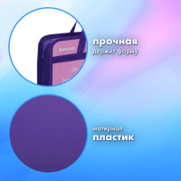 Папка на молнии с ручками BRAUBERG А4, 1 отделение, пластик, 80 мм, "Black Cat", 270122 Папка на молнии с ручками BRAUBERG А4, 1 отделение, пластик, 80 мм, "Black Cat", 270122