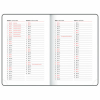 Ежедневник датированный 2025 А5 138x213 мм BRAUBERG "Vista", под кожу твердый, "Энергия", 115878