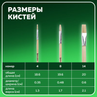 Кисти BRAUBERG, набор 3 шт. (щетина, плоские № 4, 8, 14), блистер, 200223 Кисти BRAUBERG, набор 3 шт. (щетина, плоские № 4, 8, 14), блистер, 200223