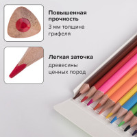 Карандаши цветные BRAUBERG, 60 цветов (Базовые, Металлик, Неон, Пастель, Телесные), 181792 Карандаши цветные BRAUBERG, 60 цветов (Базовые, Металлик, Неон, Пастель, Телесные), 181792