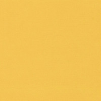 Ежедневник недатированный А5 (138x213 мм) BRAUBERG "Select", балакрон, 160 л., желтый, 111662 Ежедневник недатированный А5 (138x213 мм) BRAUBERG "Select", балакрон, 160 л., желтый, 111662