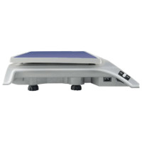 Весы торговые MERCURY M-ER 326-15.2 LED (0,05-15 кг), дискретность 2 г, платформа 325x230 мм, без стойки Весы торговые MERCURY M-ER 326-15.2 LED (0,05-15 кг), дискретность 2 г, платформа 325x230 мм, без стойки