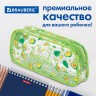 Пенал-косметичка BRAUBERG LUCENT на молнии, прозрачный, "Avocado", 21х5х9 см, 270054 Пенал-косметичка BRAUBERG LUCENT на молнии, прозрачный, "Avocado", 21х5х9 см, 270054