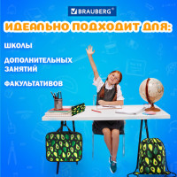 Школьный набор BRAUBERG: папка А4, мешок для обуви 42х33 см, пенал-косметичка 20х10 см, "Avocado", 271433 Школьный набор BRAUBERG: папка А4, мешок для обуви 42х33 см, пенал-косметичка 20х10 см, "Avocado", 271433